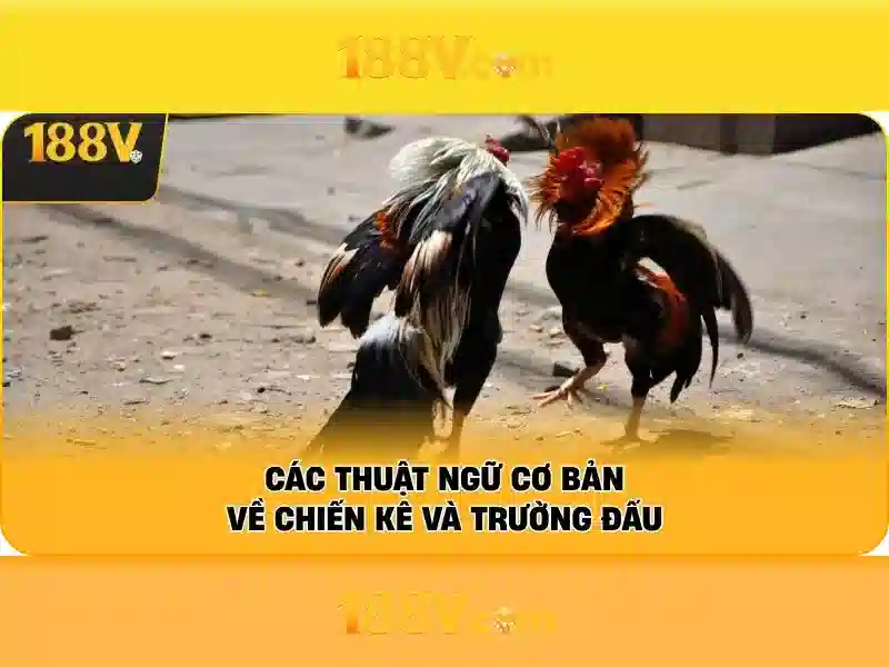 Hướng Dẫn Đăng Ký Và Nhận Thưởng Slot 188V