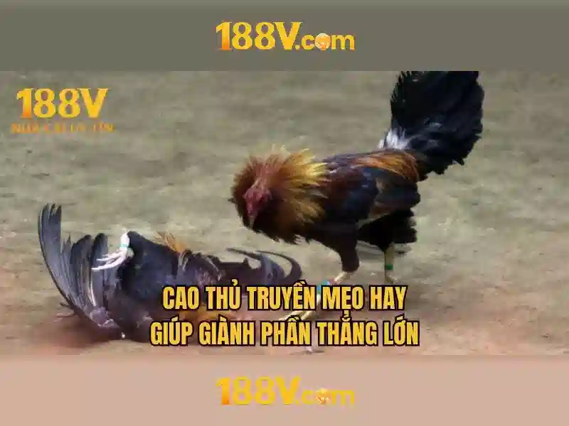 Ưu điểm Slot 188v