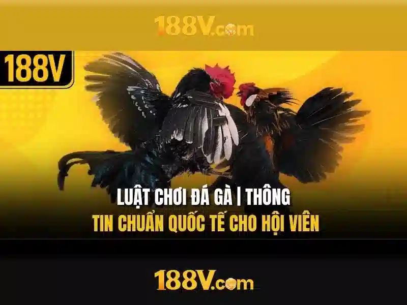 Trải Nghiệm Cá Cược Thể Thao 188V