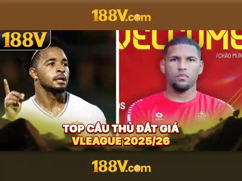 hỗ trợ 188v