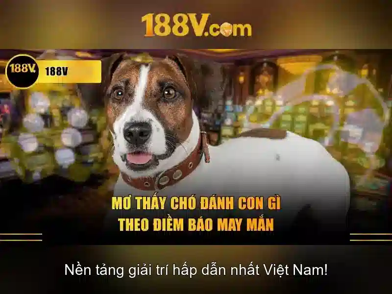Rút Tiền 188V