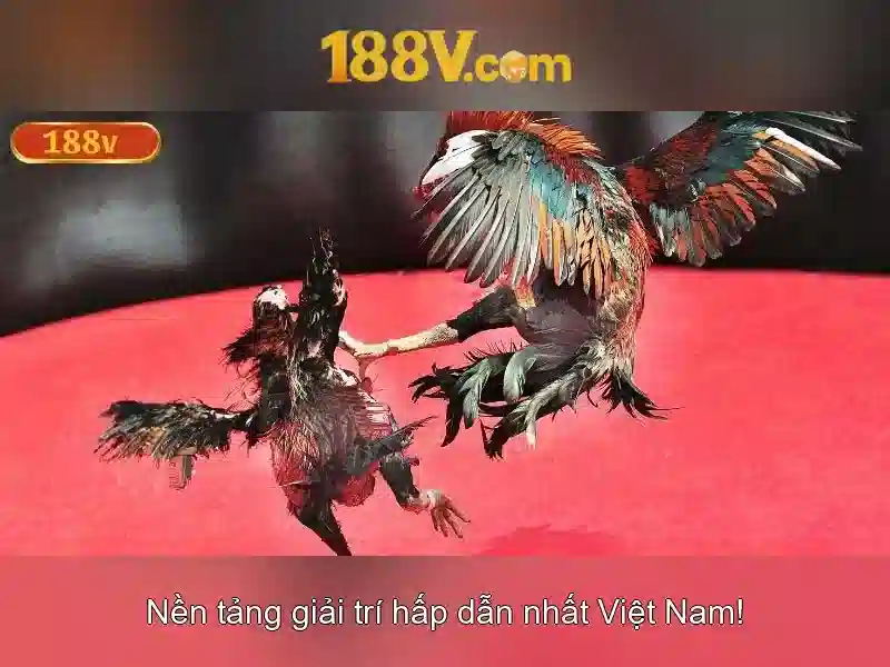 Ưu Đãi Slot 188V