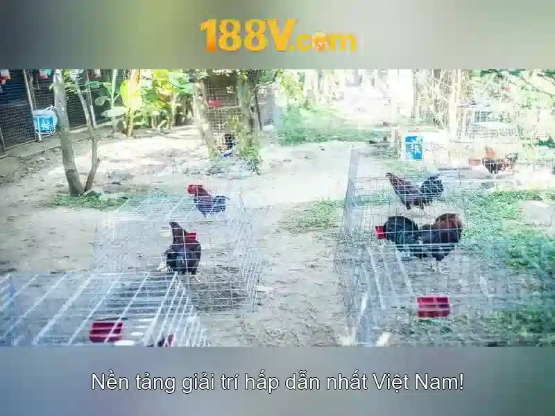 Trải nghiệm Slot 188v