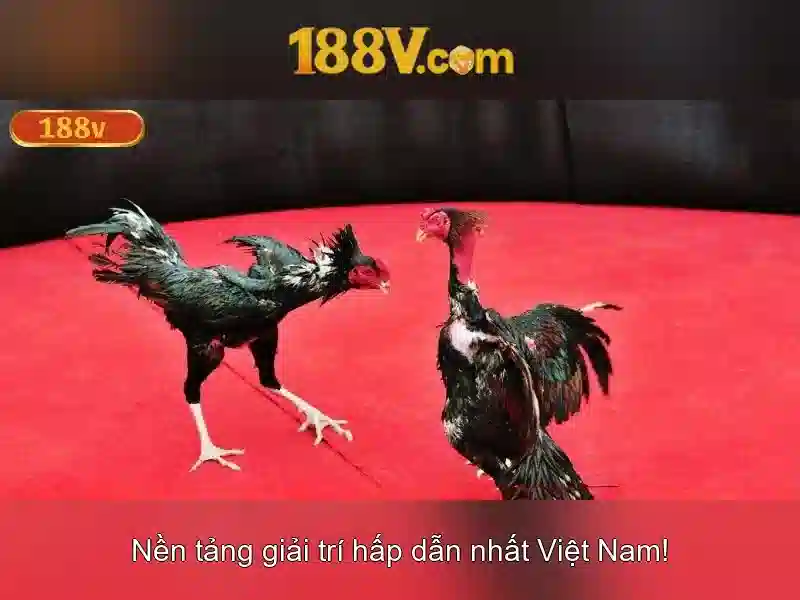 Ưu Đãi Rút Tiền Đặc Biệt Cho Thành Viên