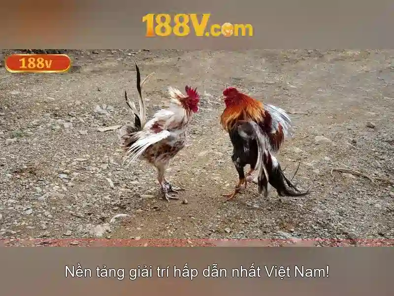 Hướng Dẫn Đăng Nhập 188V Chi Tiết