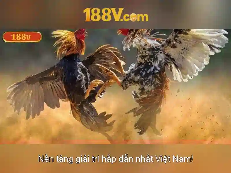 Hỗ trợ 188v
