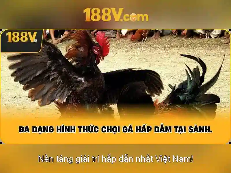 188V – Trang Chủ 188V Chính Thức Không Bị Chặn 2026 | Giftcode 188V