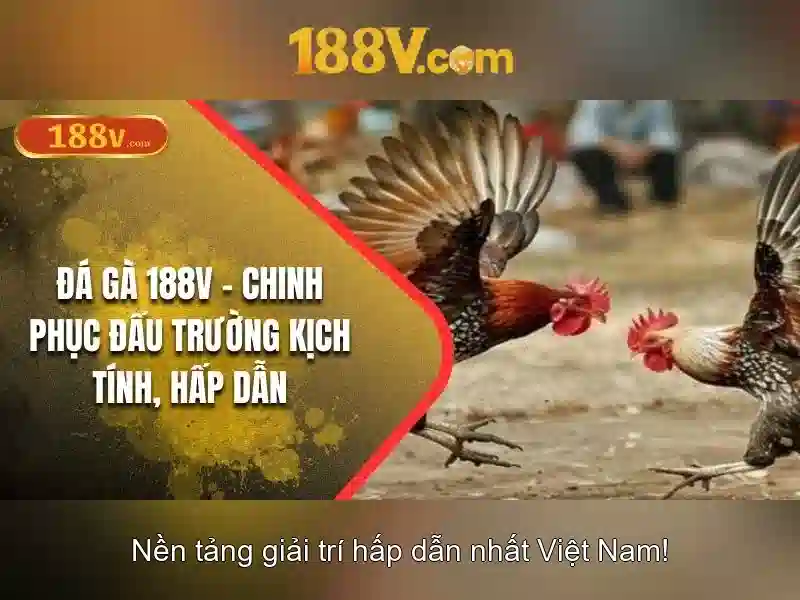 Trải nghiệm slot 188V