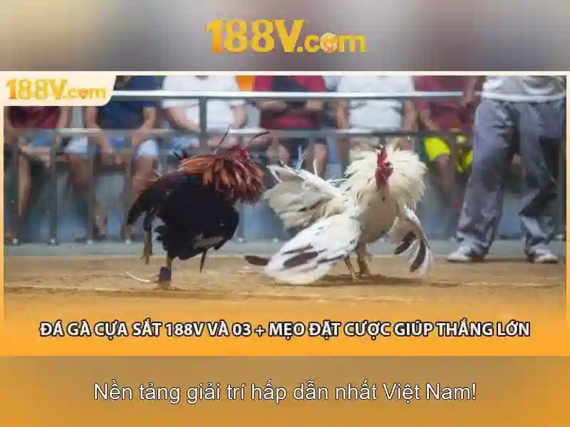 188V Trang Chủ Chính Thức Không Bị Chặn 2026