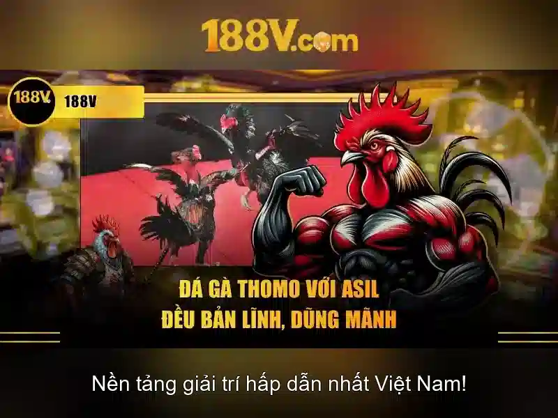 Tại sao chọn slot 188v