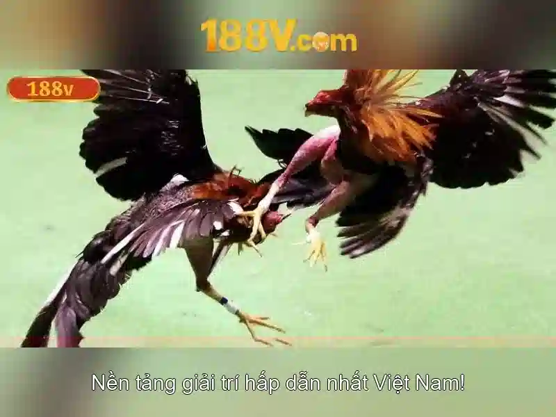 Nạp Rút Nhanh Casino 188V – Giao Dịch 24/7 Không Gián Đoạn