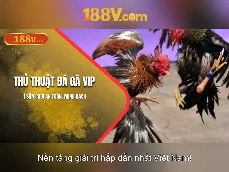 Review 188V