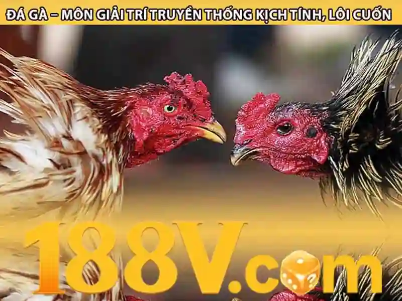 Trải nghiệm Slot 188v